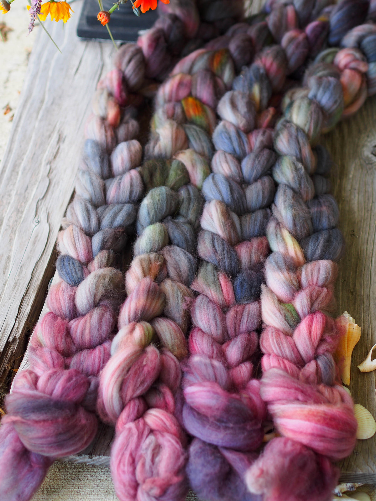 Season of the Witch Merino Camel Combed Top