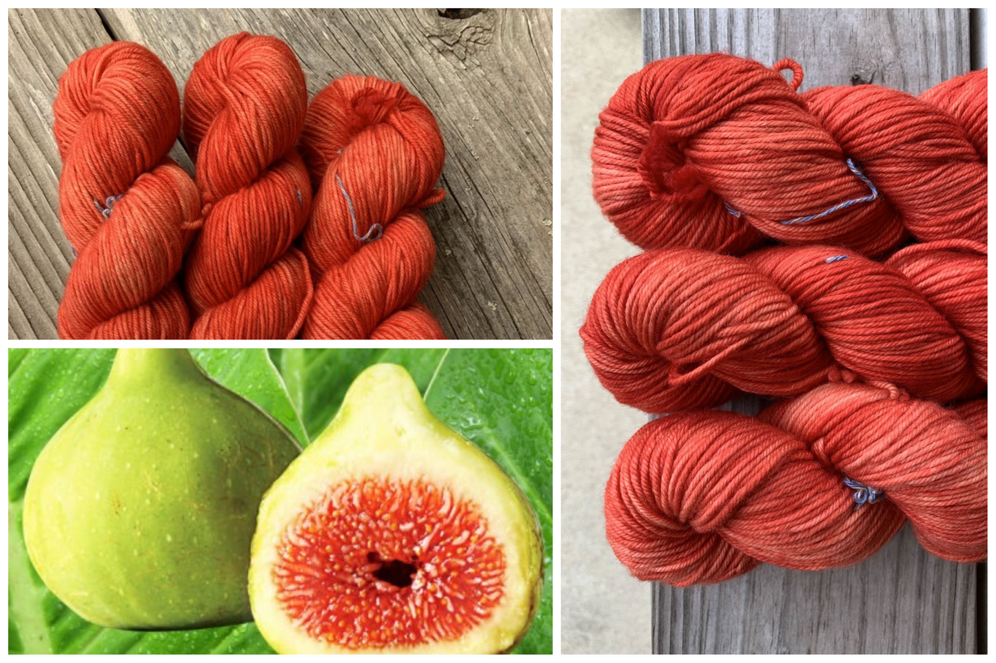 Summer Fig