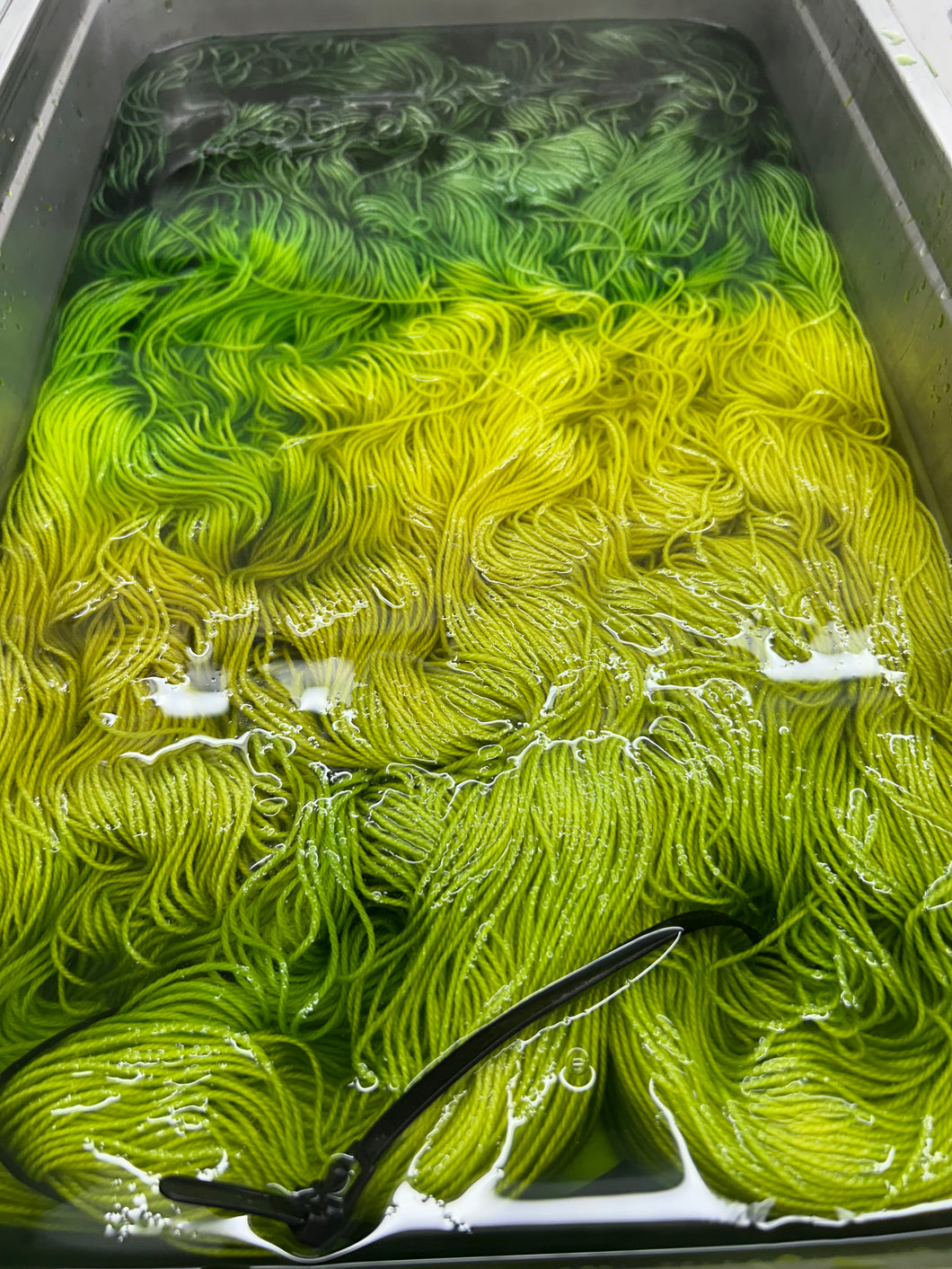 Scorched Lime