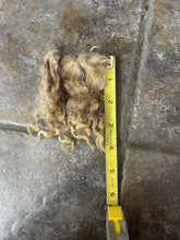Load image into Gallery viewer, Natural Colored Lincoln Locks for Spinning
