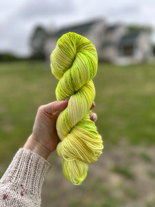 Corn Silk