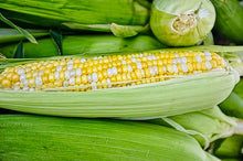 Load image into Gallery viewer, Corn Silk
