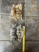 Load image into Gallery viewer, Natural Colored Lincoln Locks for Spinning

