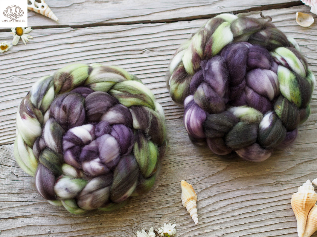 Blackthorn and Willow SW Merino Combed Top- 4 oz braid