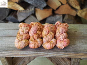 Calico Shell