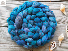 Load image into Gallery viewer, Coraline Jones Merino and Glitter Combed Top- 4 oz
