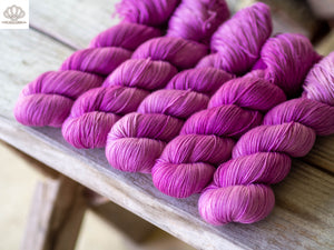 Coralline Algae