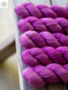Coralline Algae