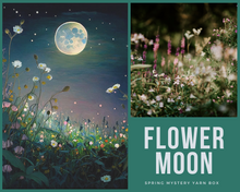 Load image into Gallery viewer, Flower Moon Mitt Fingering Weight Kit
