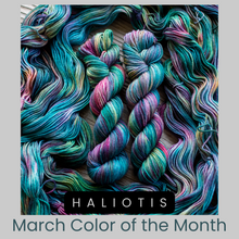 Load image into Gallery viewer, Haliotis
