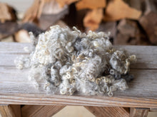 Load image into Gallery viewer, Natural Colored Lincoln Locks for Spinning
