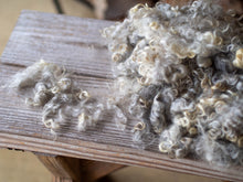 Load image into Gallery viewer, Natural Colored Lincoln Locks for Spinning
