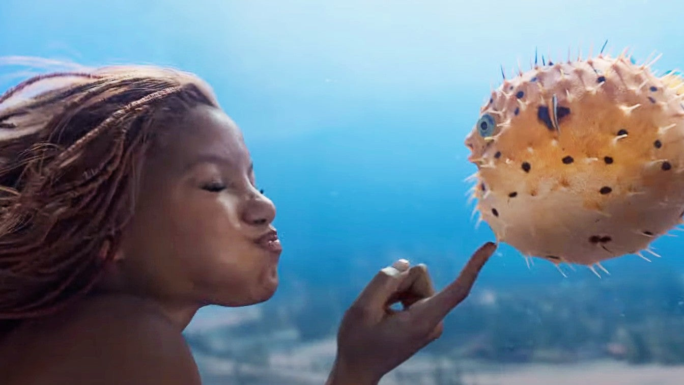 Pufferfish