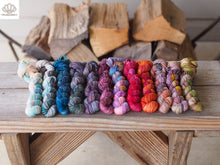 Load image into Gallery viewer, Sea Myths 12 Skein Mini Set in Sock
