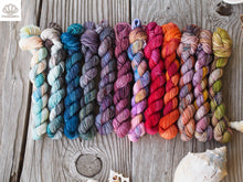 Load image into Gallery viewer, Sea Myths 12 Skein Mini Set in Sock
