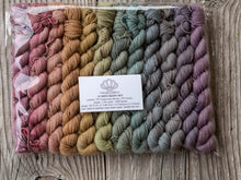 Load image into Gallery viewer, Victorian Winter Wonderland 12 Mini Skein Set Pre Order
