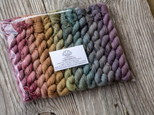 Load image into Gallery viewer, Victorian Winter Wonderland 12 Mini Skein Set Pre Order
