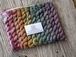 Victorian Winter Wonderland 12 Mini Skein Set Pre Order
