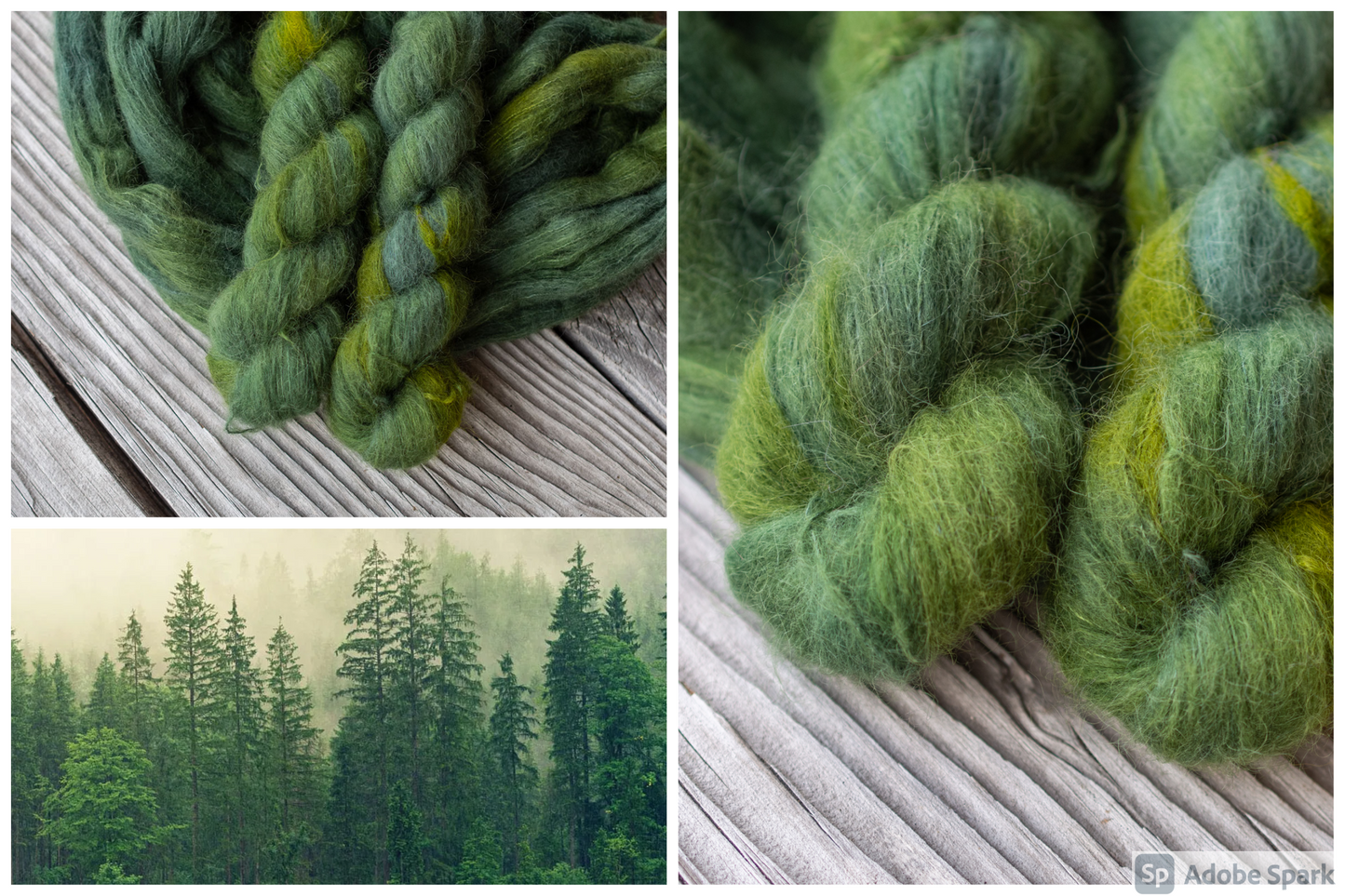 Coniferous