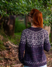 Load image into Gallery viewer, Moonlit Romp Original Colors Pullover Kit
