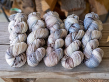 Load image into Gallery viewer, Southern Quahog
