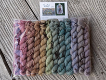 Load image into Gallery viewer, Victorian Winter Wonderland 12 Mini Skein Set Pre Order
